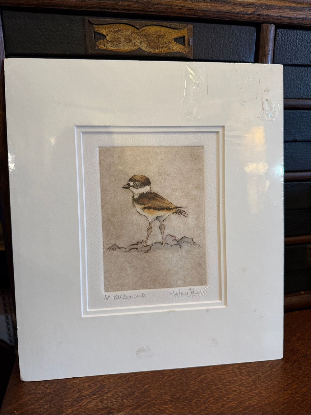 Wild Bird Art Print - Brown Bird Illustration